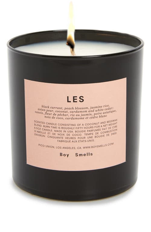 <p><a href="https://go.redirectingat.com?id=74968X1596630&url=https%3A%2F%2Fwww.nordstrom.com%2Fs%2Fboy-smells-les-scented-candle%2F5157889&sref=https%3A%2F%2Fwww.housebeautiful.com%2Fshopping%2Fbest-stores%2Fg40379169%2Flgbtq-home-brands-to-support%2F" rel="nofollow noopener" target="_blank" data-ylk="slk:Shop Now;elm:context_link;itc:0;sec:content-canvas" class="link ">Shop Now</a></p><p>LES Scented Candle</p><p>$38.00</p><p>nordstrom.com</p><span class="copyright">Nordstrom</span>