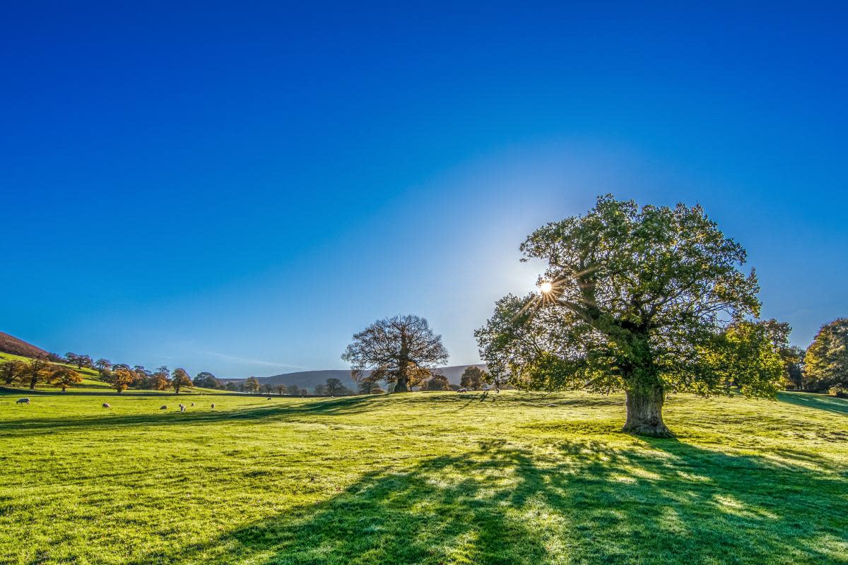 A heatwave could be on the cards for the UK in late June and early July <i>(Image: Canva)</i>