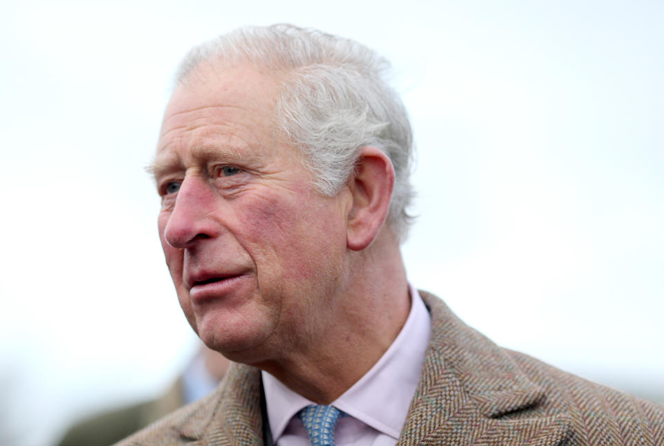 Prince Charles is the "hardest working royal" for the past year. [Photo: Getty]