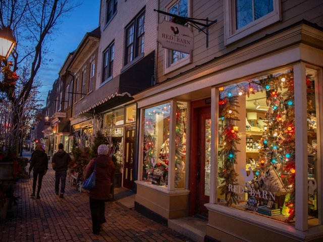 33) Alexandria, Virginia