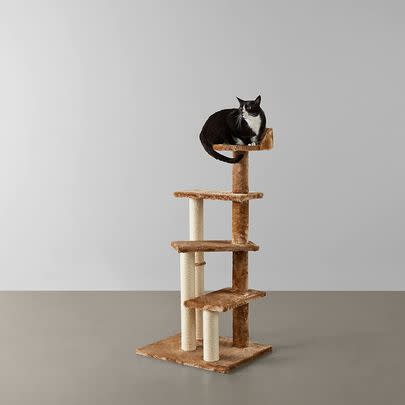 Save 15% on this multi-platform cat tree