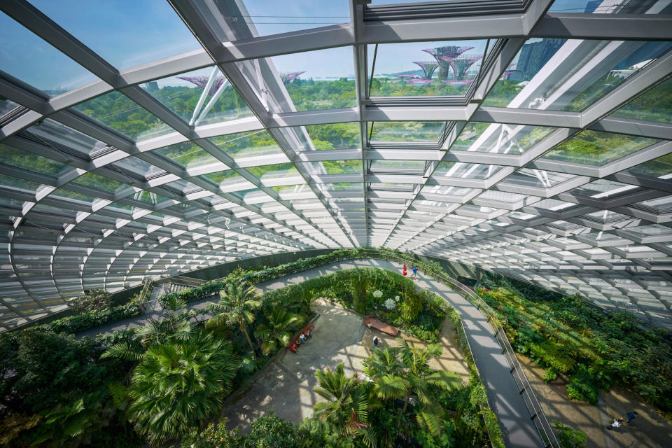 singapore cloud forest