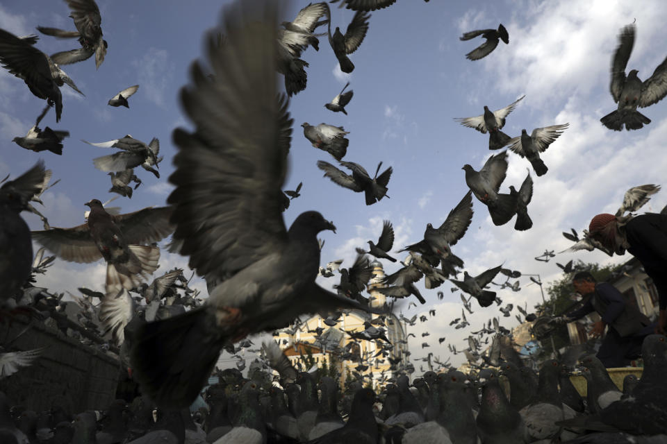 Pigeons fly outside the Shah-Do Shamshira Mosque in Kabul, Afghanistan, Tuesday, July 20, 2021. Friday marks the major Muslim holiday Eid al-Adha at the end of the hajj pilgrimage to Mecca, which is observed around the world by believers and commemorates prophet Abraham's pledge to sacrifice his son as an act of obedience to God. (AP Photo/Rahmat Gul)