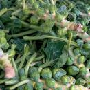 <p>You can sow Brussels sprout as early as February, under cloches or fleece. Or you can grow them in a cold frame from early March to early April. A Christmas favourite for many (adults), it is said the flavour is much improved once the sprouts have been frosted, but you can harvest as early as August with some varieties. If you want to try something a bit different for your Christmas dinner, try growing the 'Red Ball' variety – these small sprouts are a beautiful crimson colour which deepens throughout the season and after the frost.</p>