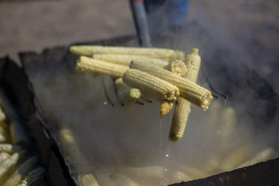 Farmer Eugene “Hutch” Naranjo boils corn at his home in Ohkay Owingeh, formerly named San Juan Pueblo, in northern New Mexico, Sunday, Aug. 21, 2022. Friends and relatives of the Naranjos gather every year to make chicos, dried kernels used in stews and puddings. (AP Photo/Andres Leighton)