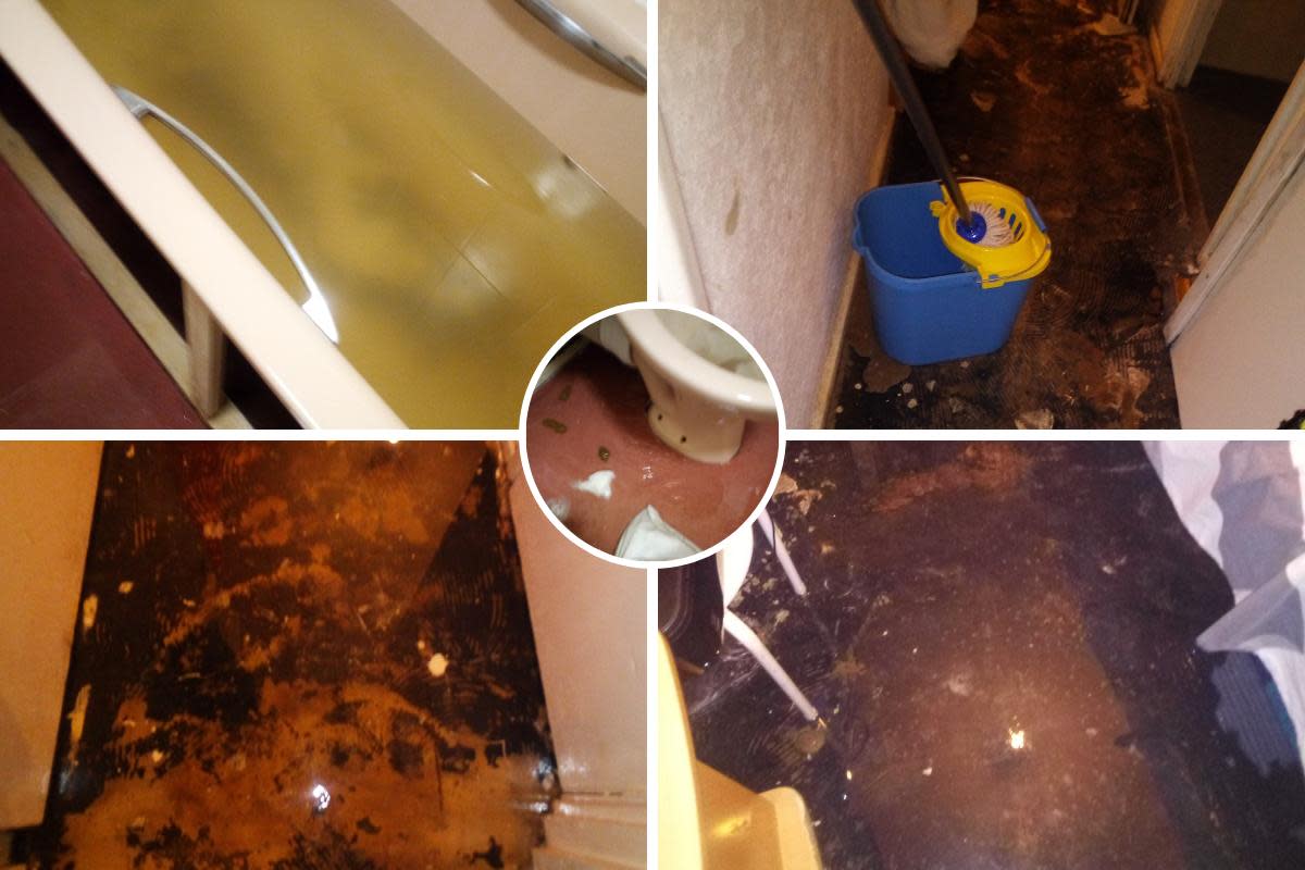 Andrew Cameron's flat flooded and left him surrounded by other people's waste for two days <i>(Image: Andrew Cameron)</i>