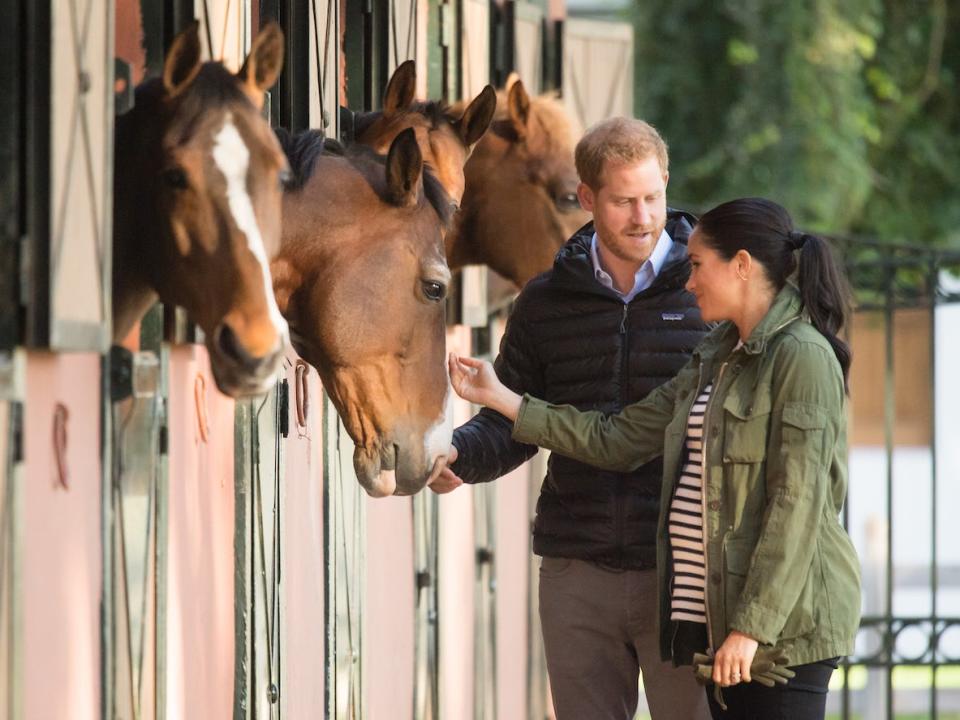 Harry and Meghan horses