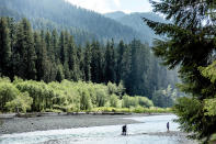 <p>Ask any West Coaster—the Hoh Rainforest is the crown jewel of Olympic National Park. The Washington state forest is famous for its evergreen vegetation and mossy trees that grow a lush landscape. And this dreamy topography reaches its peak on the <a href="https://www.nps.gov/olym/planyourvisit/hoh-river-trail.htm" rel="nofollow noopener" target="_blank" data-ylk="slk:Hoh River Trail;elm:context_link;itc:0;sec:content-canvas" class="link ">Hoh River Trail</a>, which stretches across 17 miles with views of Mount Olympus and Blue Glacier from the end of the trail.</p>