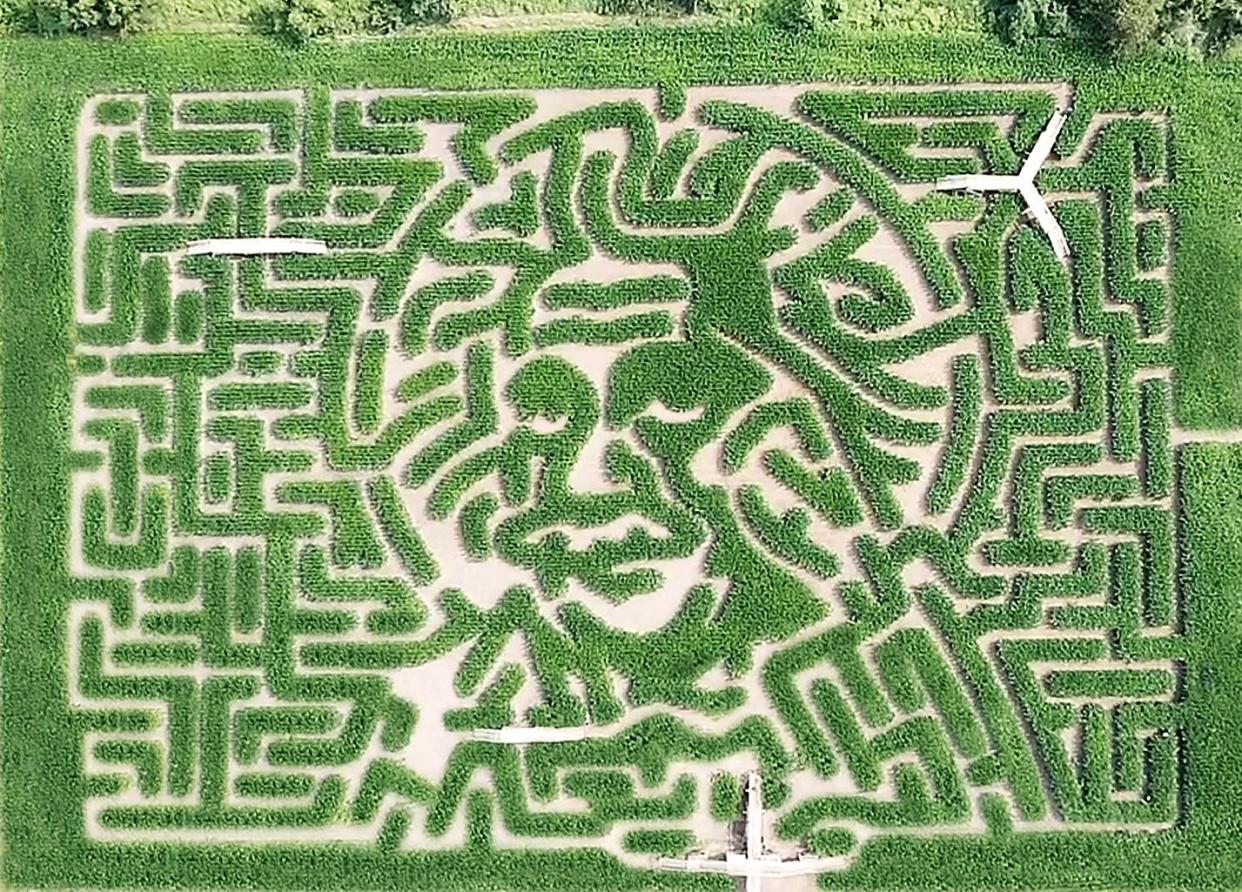 corn maze near me