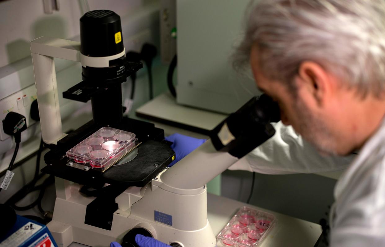 Doctor Paul McKay, who is working on an vaccine for the 2019-nCoV strain of the novel coronavirus, Covid-19,, poses for a photograph using a microscope to look at bacteria containing coronavirus, Covid-19, DNA fragments, in a research lab at Imperial College School of Medicine (ICSM) in London on February 10, 2020. - A team of UK scientists believe they are one of the first to start animal testing of a vaccine for the new coronavirus that has killed more than 1,000 people and spread around the world. (Photo by Tolga AKMEN / AFP) / TO GO WITH AFP STORY BY WILLIAM EDWARDS (Photo by TOLGA AKMEN/AFP via Getty Images)