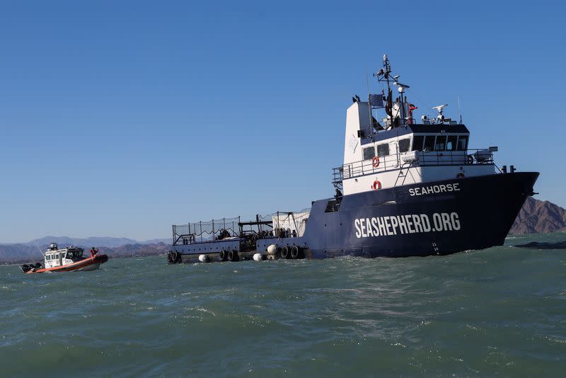 Seahorse, el nuevo buque de Sea Shepherd, fotografiado cerca de San Felipe, en el Golfo de California, Baja California