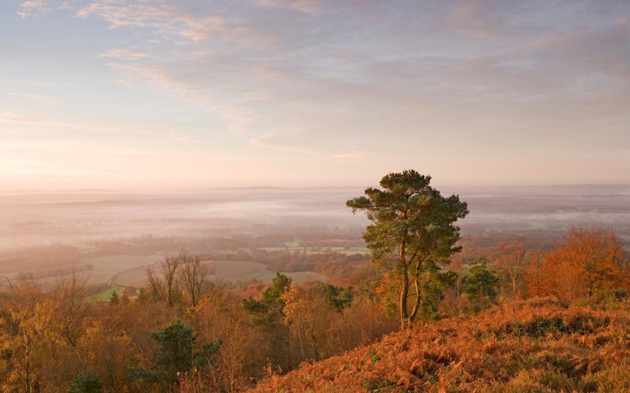 The gorgeous Surrey Hills are among the most beautiful places in the Home Counties  - www.alamy.com