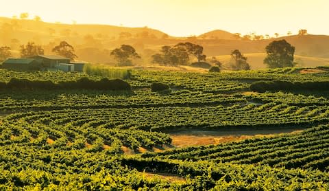 barossa-valley - Credit: Getty