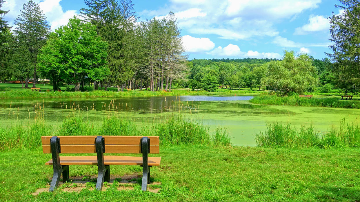 Tranquil nature scene in Benson Park, Hudson, New Hampshire, USA - Image.