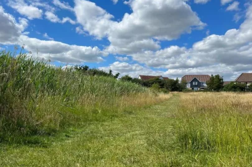 Frankland Fields, a hidden gem of a Local Nature Reserve (LNR) based near South Woodham Ferrers