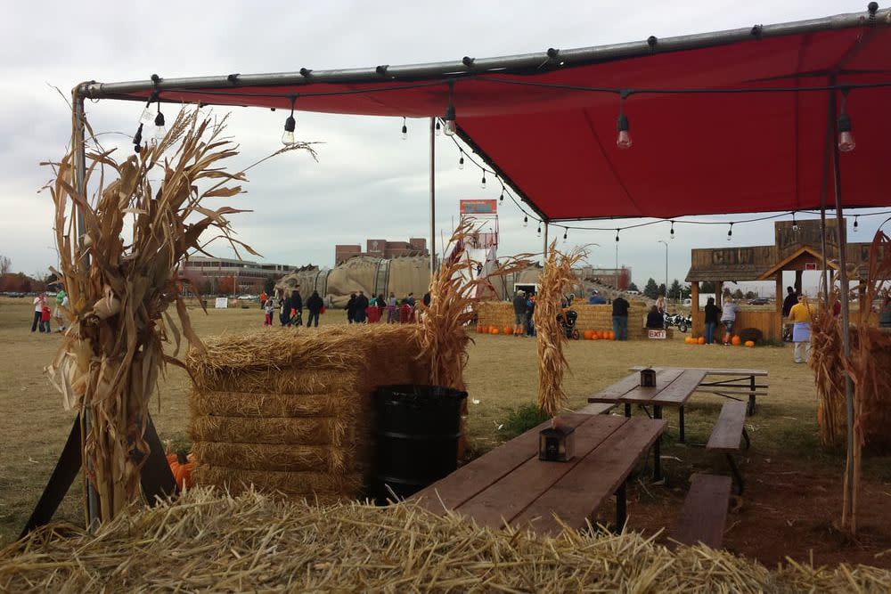 The Farmstead Corn Maze & Pumpkin Festival