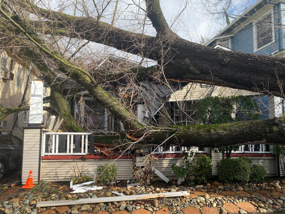 A tree collapsed and ripped up the sidewalk damaging a home in Sacramento, Calif., Sunday, Jan. 8, 2023. The National Weather Service warned of a “relentless parade of atmospheric rivers" — storms that are long plumes of moisture stretching out into the Pacific capable of dropping staggering amounts of rain and snow. (AP Photo/Kathleen Ronayne)