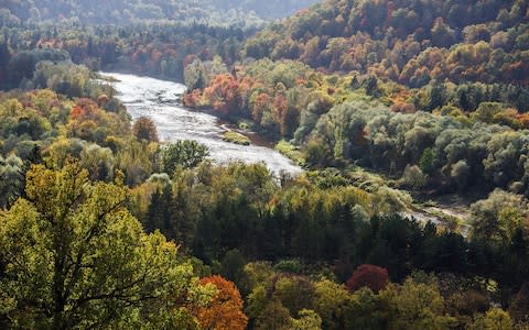 The Gauja Valley in autumn - Credit: istock