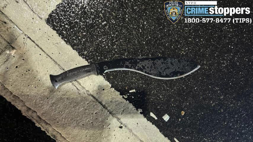 The machete used to attack three  police officers on New Year's Eve in New York.  (NYPD via AP)