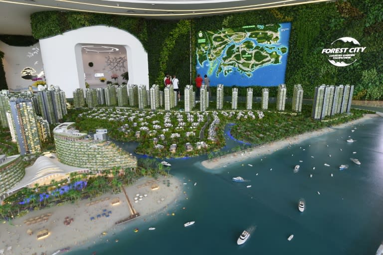 A planned multi-billion-dollar new city near Singapore is attracting interest from investors but there are questions over its future owing to China's economic woes and warnings of environmental catastrophe