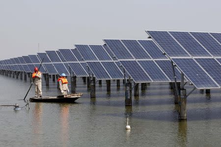Employees row a boat as they examine solar panel boards at a pond in Lianyungang, Jiangsu Province, China, in this March 16, 2016 file photo. REUTERS/Stringer/Files