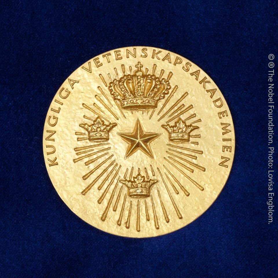 Rückseite der Medaille für den Wirtschaftsnobelpreis  - Copyright: Lovisa Engblom/The Nobel Foundation via Picture Alliance