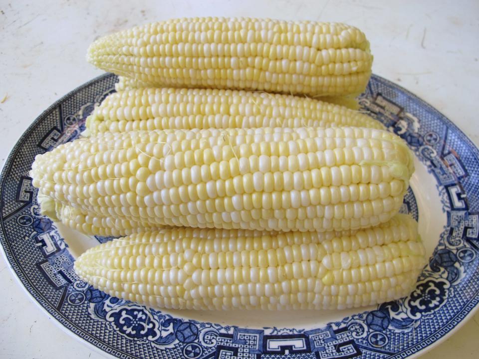 Organic corn from Homeyer's garden never gets treated with chemicals.