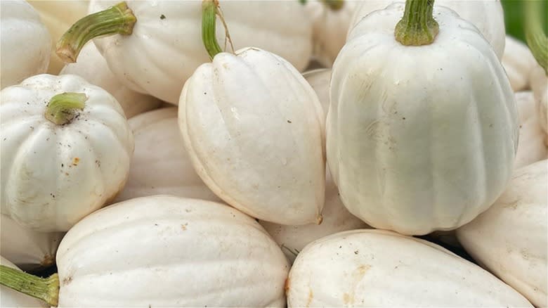 Pile of mashed potato squash