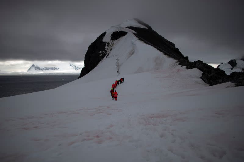 The Wider Image: On board the Antarctic expedition that reveals dramatic penguin decline