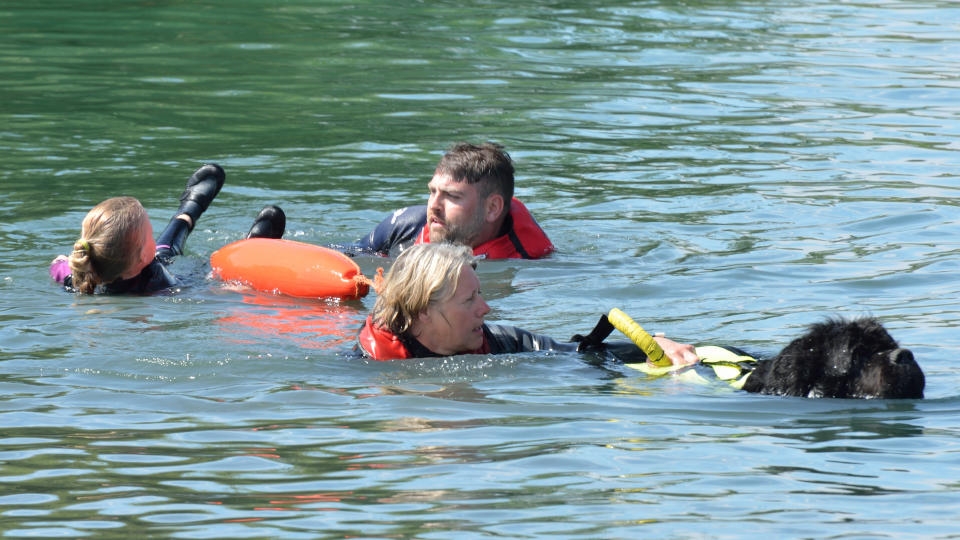 Newfoundland training water rescue