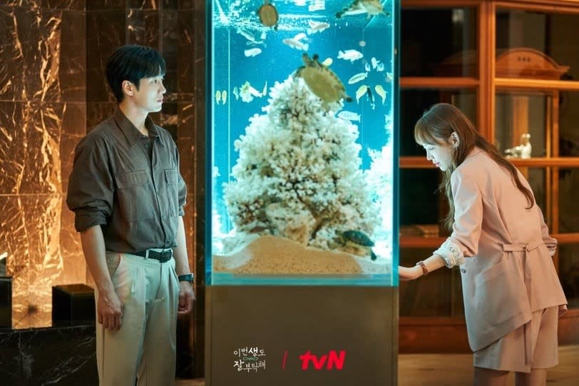 圖片來源：tvN《今生也請多指教》