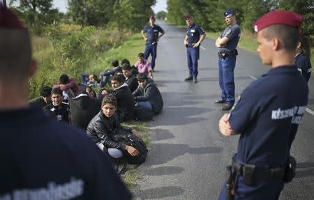 Hungarian policemen detain migrants from Afghanistan after they illegally crossed from Serbia to Hungary near the village of Asttohatolom, Hungary September 16, 2015. REUTERS/Dado Ruvic