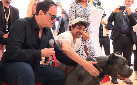 Quentin Tarantino and an American pitbull - Credit: Natalie HANDEL / AFP