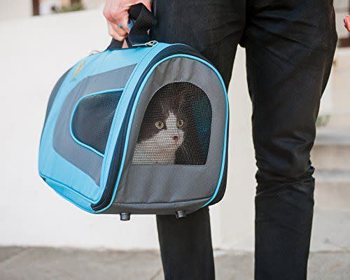 51) Cat Travel Carrier