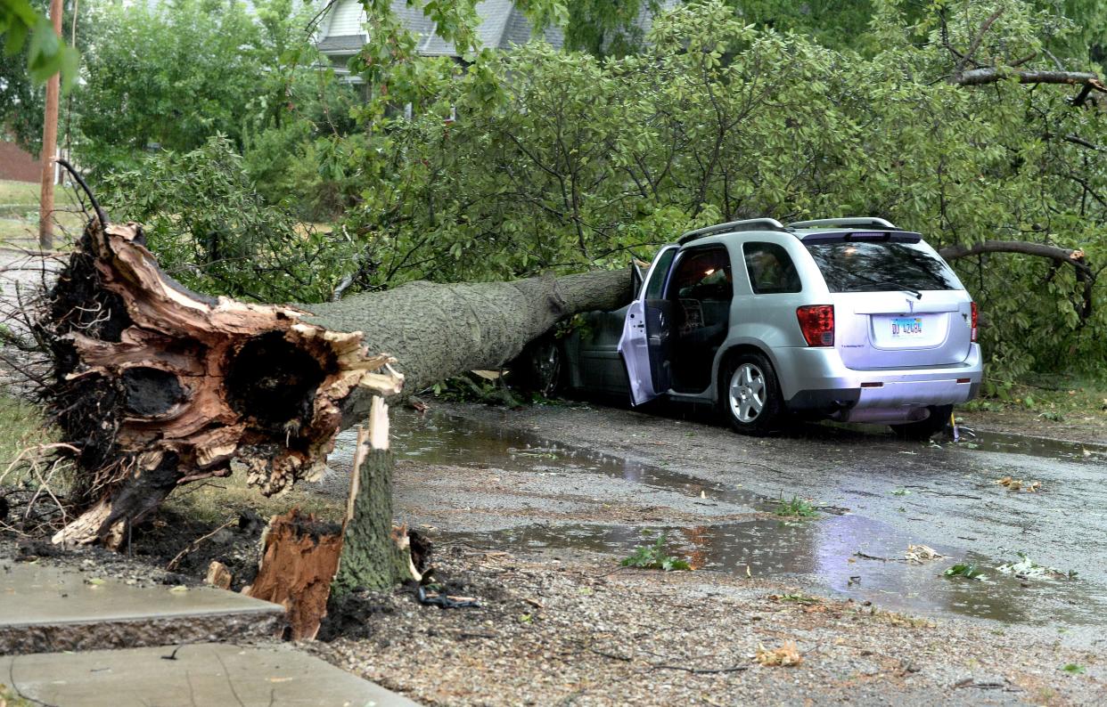 Linda Eskew of Springfield narrowly escaped being crushed when this tree fell on her car as she was driving down Pine Street Thursday, June 29, 2023.