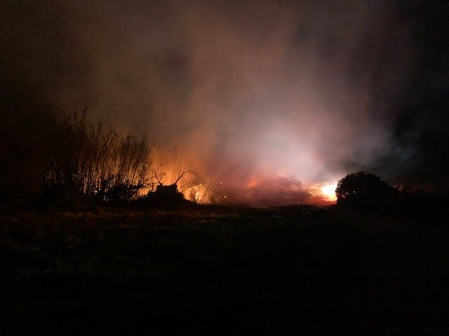 City of Ventura firefighters put out a blaze in thick arundo near the Ventura Harbor that started late Friday night, Feb. 4, 2022.
