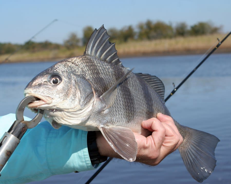 Man holding a black drum. (Getty)