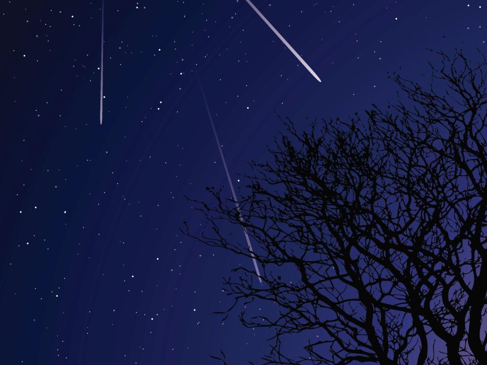 The Orionid meteor shower could peak over several days in October (Getty Images/iStockphoto)