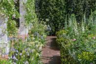 <p>'Feminine, floral and romantic, traditional cottage garden plants are always popular at Chelsea and 2018 sees them return in abundance,' says the SGD.</p><p> 'Jonathan Snow contrasts hard-leaved Mediterranean foliage with splashes of colour from roses, salvias, and astrantias; Nic Howard mixes wild plants with peonies, irises and geraniums to create a blowsy, colourful display, and Sarah Eberle creates a barrage of energetic colour with marigolds, roses, tulips and poppies.'</p>