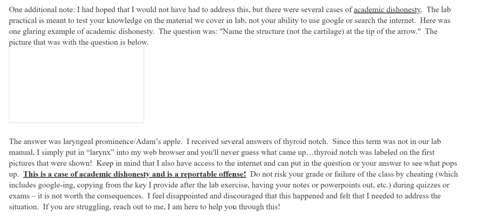 "I had hoped that I would not have to address this, but there were several cases of academic dishonesty."