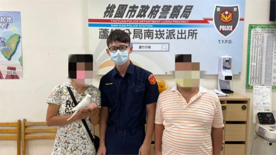 賴在肩膀上不走！男子撿拾鸚鵡　員警PO網協尋飼主