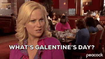 Leslie Knope saying "What's Galentine's Day? It's only the best day of the year"