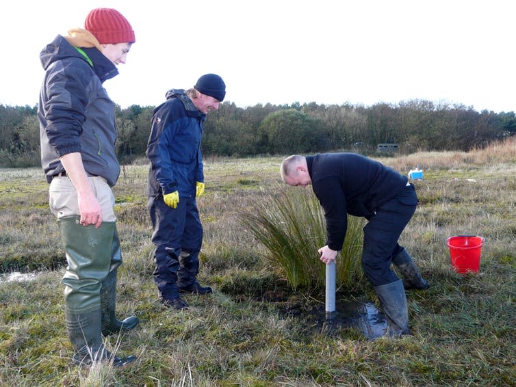<span class="caption">Researchers take carbon cores from ponds at Hauxley Nature Reserve.</span> <span class="attribution"><span class="source">Mike Jeffries</span>, <span class="license">Author provided</span></span>