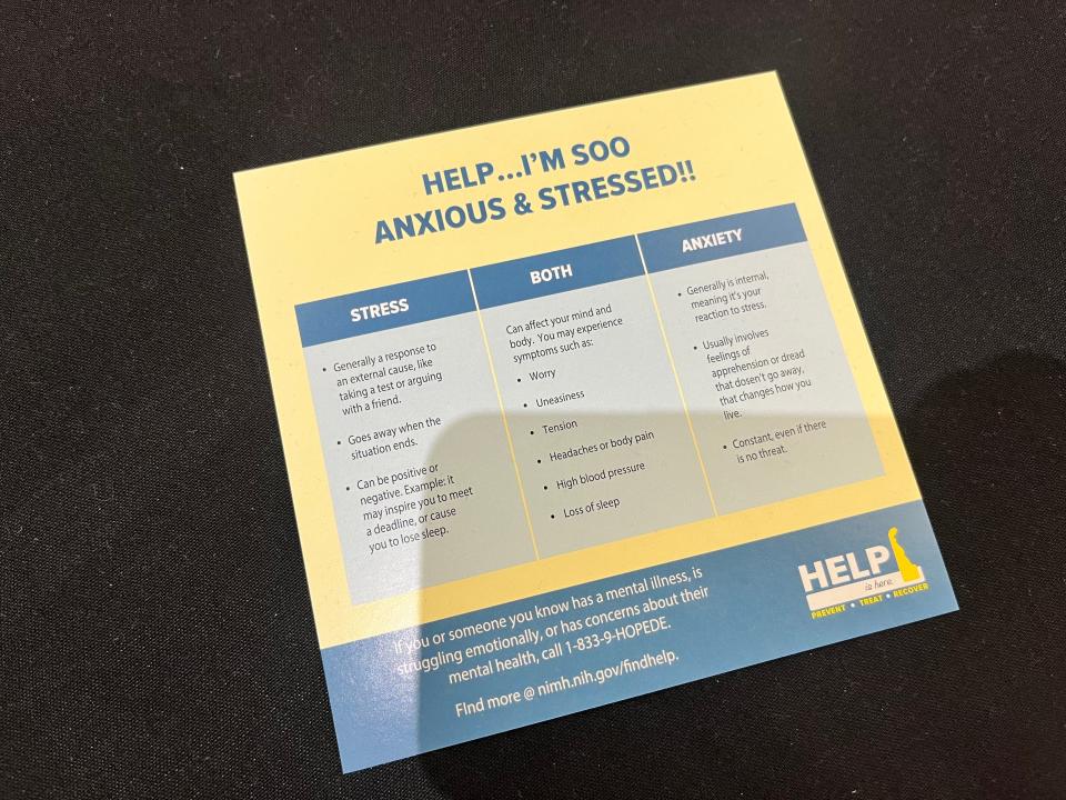 A leaflet at Delaware's inaugural mental and behavioral health summit on Monday. Lt. Gov. Bethany Hall-Long convened the summit.