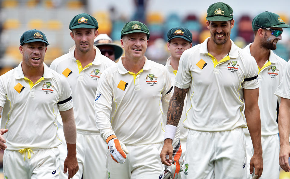 David Warner and Mitchell Johnson, pictured here during a Test match for Australia in 2014. 