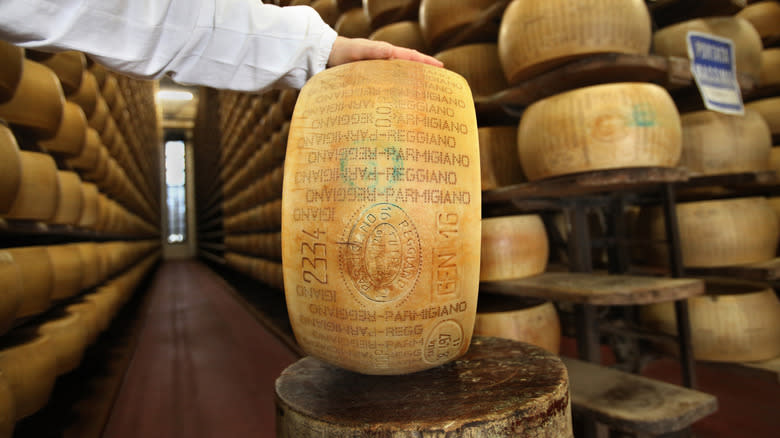 hand on wheel of Parmigiano-Reggiano