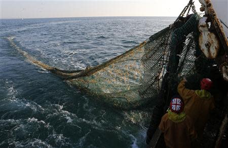 Fishermen on the Boulogne sur Mer based trawler "Nicolas Jeremy" raise the fishing nets, off the coast of northern France September 23, 2013. REUTERS/Pascal Rossignol