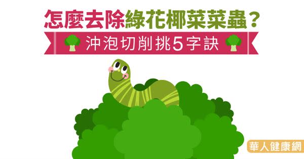 怎麼去除綠花椰菜菜蟲？沖泡切削挑5字訣