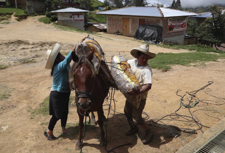 A man unloads a bag of potatoes in Puna, Peru, the town where Free Peru party presidential candidate Pedro Castillo works as a teacher and where his parents live, Friday, April 16, 2021. Castillo, who has proposed rewriting Peru's constitution and deporting all immigrants living in the country illegally who commit crimes, will face rival candidate Keiko Fujimori in the June 6 presidential run-off election. (AP Photo/Martin Mejia)