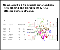 Compound F3 and enhanced activity derivative F3-8-60 directly bind to K-RAS